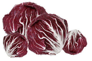radicchio