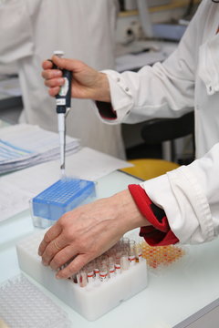 LVD - S&eacute;rologie