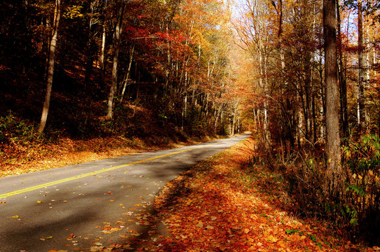 Fototapeta Nice Image of a country road in the smokey mountains