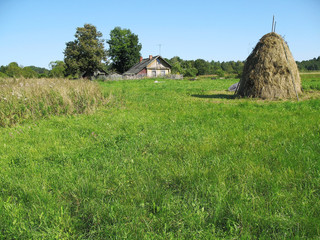 haycock dry grass stand on rural meadow