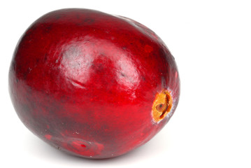 Cranberry isolated on white background