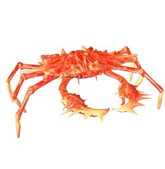 crab