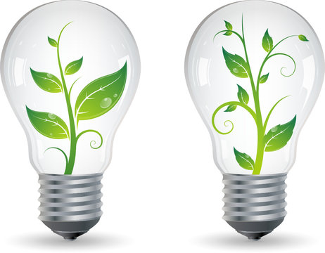 Ampoules avec plantes, image vectorielle