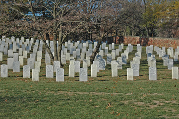 Arlington Cemetery
