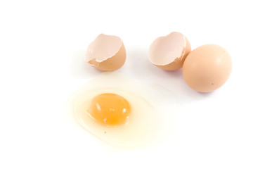 eggs