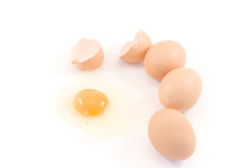 egg