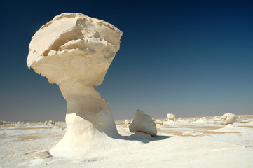 desert blanc © taba sinai