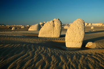 desert blanc © taba sinai