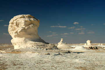 desert blanc © taba sinai