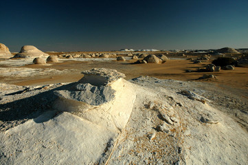 desert blanc © taba sinai