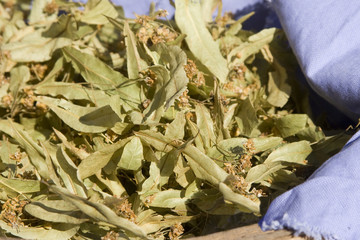 Fleurs de tilleul sur le marché