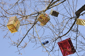 Geschenke hängen im Baum
