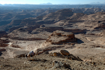 desert du sinai © taba sinai