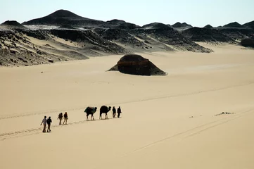 Fototapete Rund desert du sinai © taba sinai