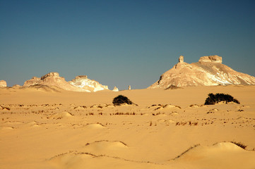 desert du sinai