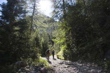 Obraz premium Wanderer