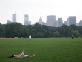mann liegt auf wiese in central park in new york
