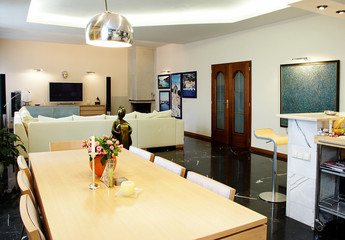 Interior of modern drawing-room