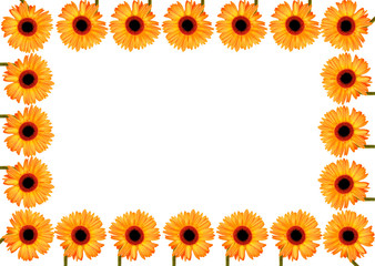 large flower border yellow