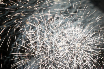 celebration white fireworks