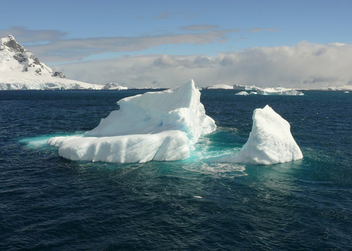 icebergs in antarctica.
