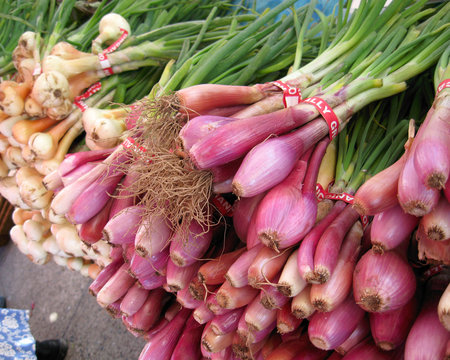 fresh onions at the farmer's market in sf