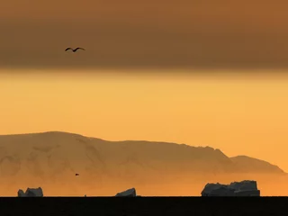 Tuinposter An amazing sunset in Antarctica with icebergs and birds © lfstewart