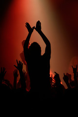 Live concert - the band and the crowd