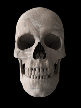 human skull 3d image