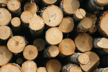 Fototapeta premium Firewood