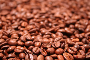 Fried coffee grain