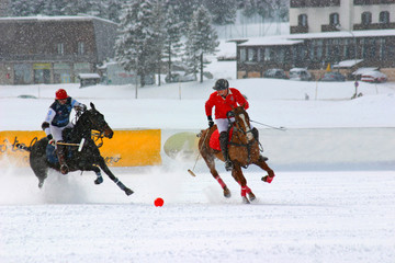 Winter polo match - 5518594