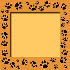 tiger track frame