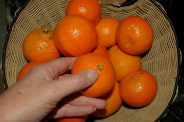 gesundes obst