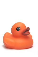 rubber duck