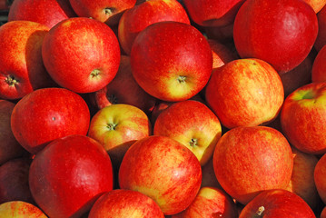 Sale of red, ripe apples on a market
