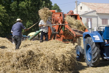 Agriculture et métier : les moissons des paysans d'autrefois