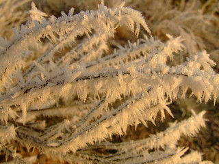 Eiskristalle 02