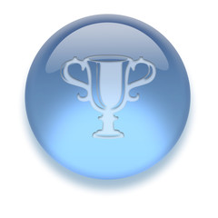 Aqua Icon