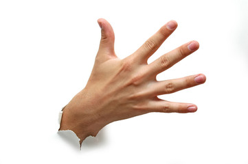 Open hand palm