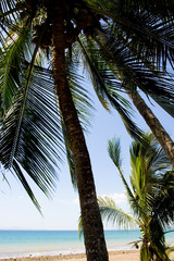 Blick auf blauen Himmel und Meer mit Strand und Palmen