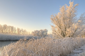 Winter scene in the Netherlands