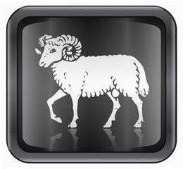 Aries zodiac icon, isolated on white background