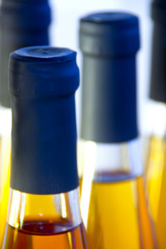 Cidre de galce