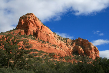 Fototapeta premium Sedona Arizona