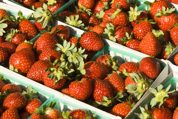 strawberries on display at a farmer's market in Minneapolis