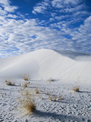 White Sand New Mexico Series 14