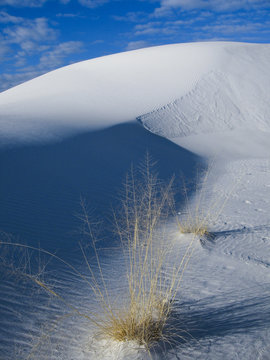 White Sand New Mexico Series 15