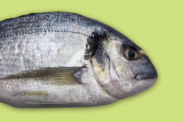 testa di orata