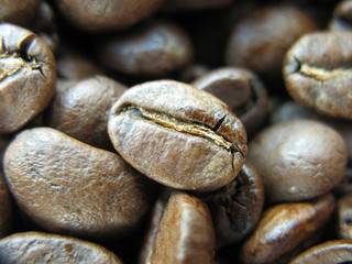 Coffee beans